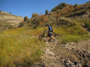 Ganya jumps a muddy stream.